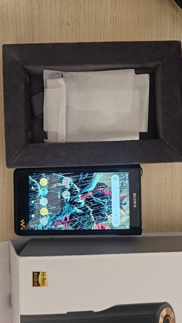 Sony Digital Audio Player Nw-Wm1Am2