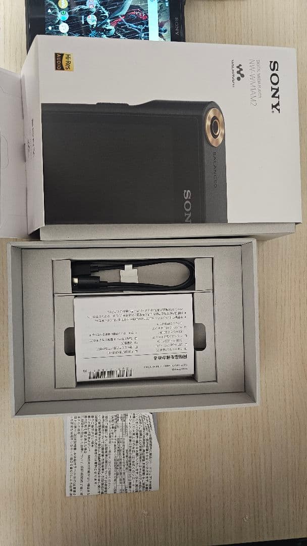 Sony Digital Audio Player Nw-Wm1Am2