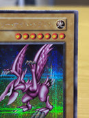 Yu-Gi-Oh! Ocg Duel Monsters (Japanese)