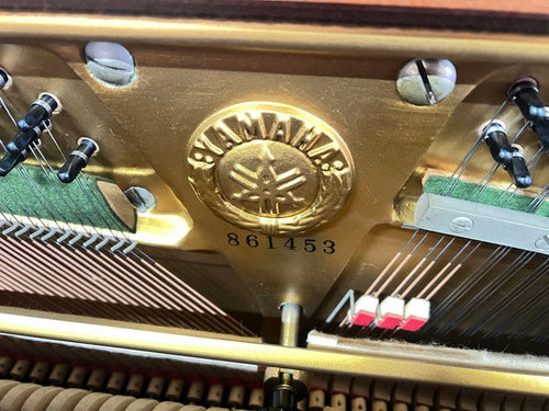 Yamaha Upright Pianos U3