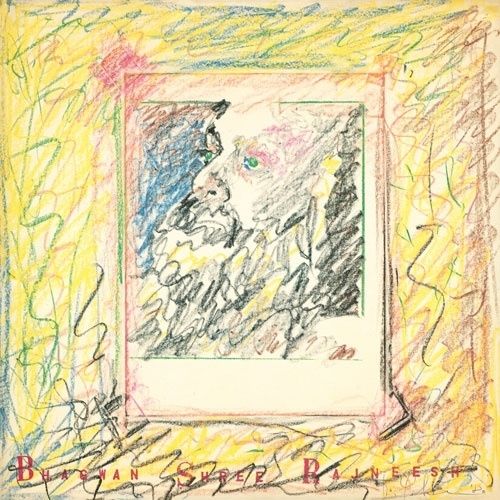 Japanese Music Lp(30Cm)
