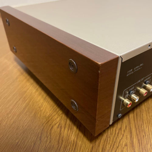 Technics Cd Sacd Player Sl-P900
