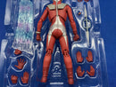Ultraman )S.H.Figuarts