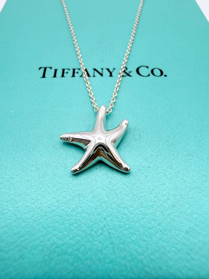 Tiffany Necklaces 925