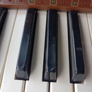 Others Casio Casiotone 701