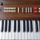 Others Casio Casiotone 701