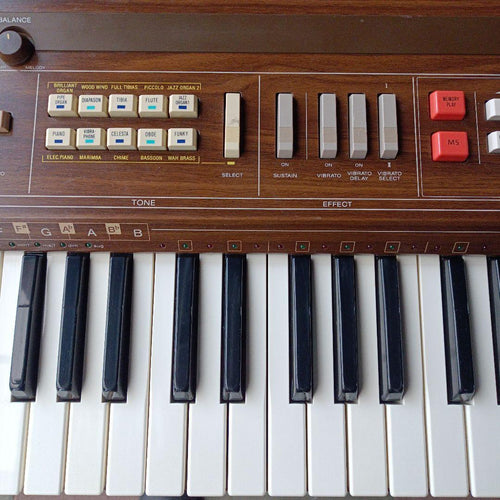 Others Casio Casiotone 701