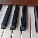 Others Casio Casiotone 701