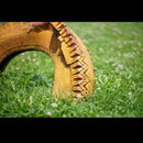 Lens (Single Focus) Fujifilm