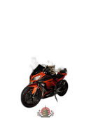 Motorcycle Body Ninja250