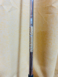 True Temper Shaft X100