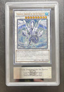 Yu -Gi -Oh! Ocg Duel Monsters (Foreign Language Version) Ars8 Ap