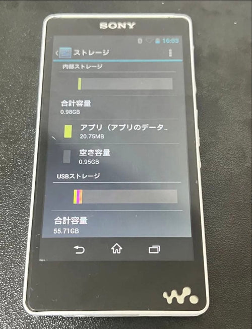 Sony Digital Audio Players Walkman Nw-F887 64Gb