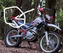 Other Yamaha 250
