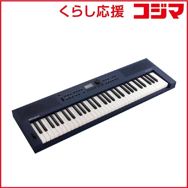 Roland Keyboard Electronic Piano Gokeys3 61 Gokeys3-Mu