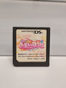 Software (Package Version) Ds