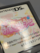 Software (Package Version) Ds