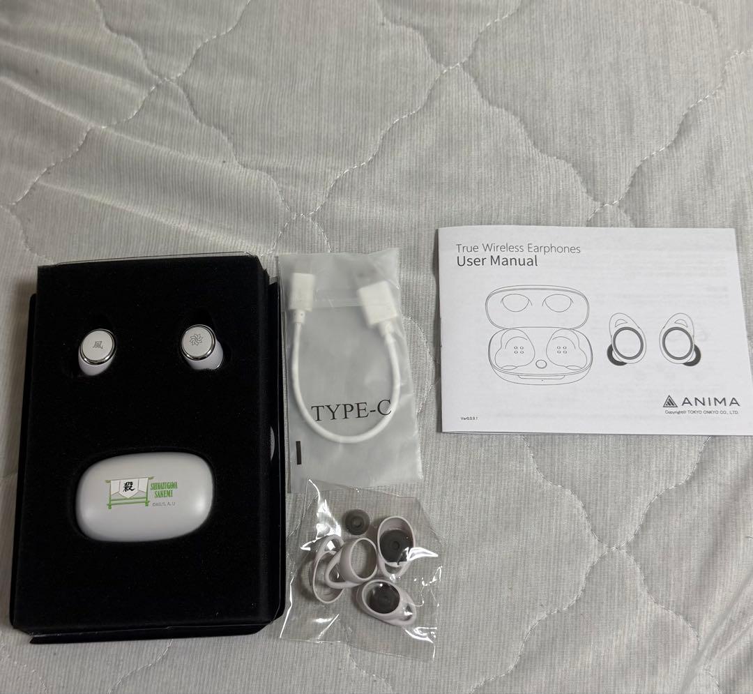 Wireless Earphones Onkyo Aow01 Mark