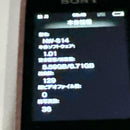 Sony Digital Audio Player Walkman Nw-S14 8Gb