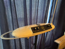 Moog Others Theremini
