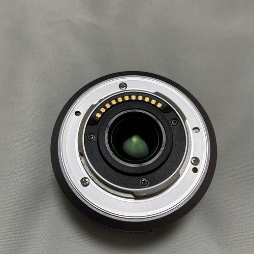 Panasonic Mirrorless Interchangeable Lens Cameras Lumix Dmc Gf1