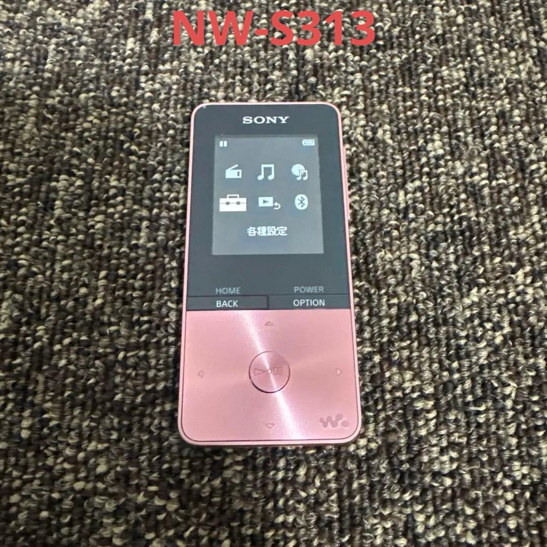 Digital Audio Player Sony Nw-S313 5Gb