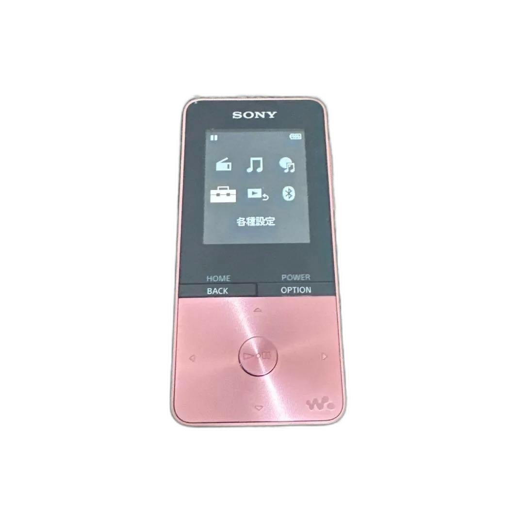 Digital Audio Player Sony Nw-S313 5Gb