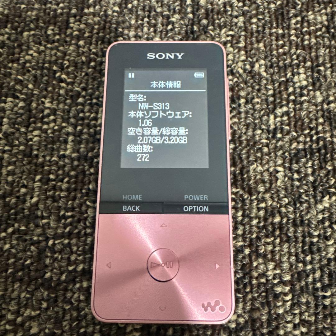 Digital Audio Player Sony Nw-S313 5Gb