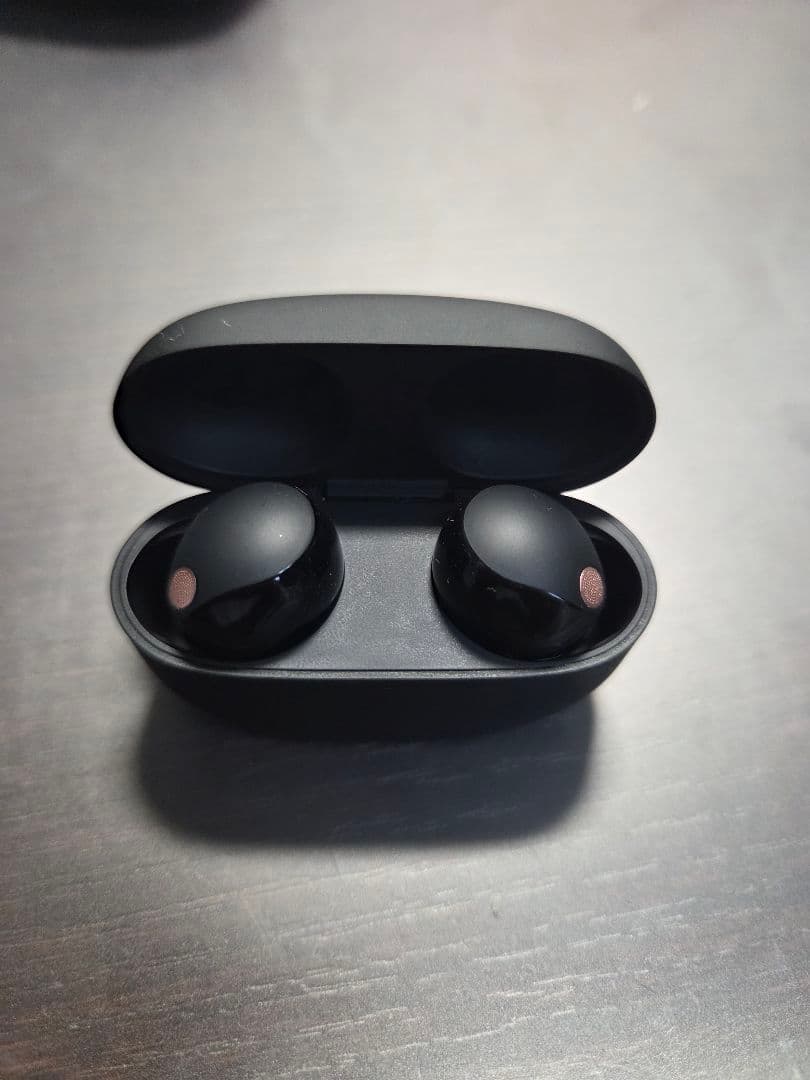 Sony Wireless Earphones Wf1000Xm5