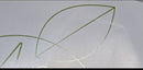 Japanese Music Mrs. Green Apple Cd