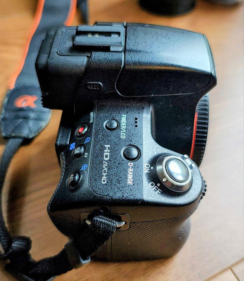 Sony Mirrorless Interchangeable Lens Cameras 33