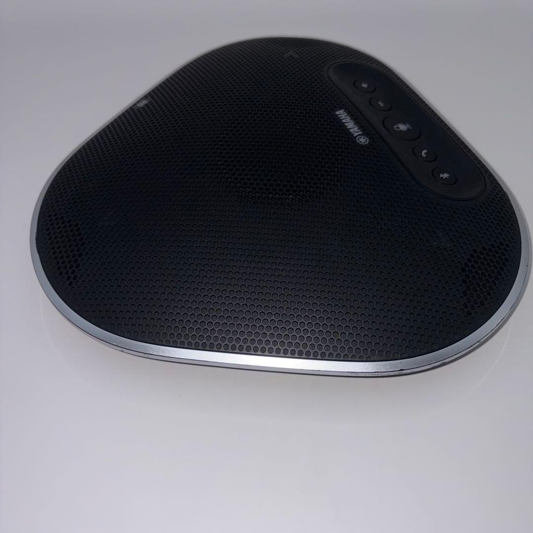 Yamaha Computer Speakers Yvc-300