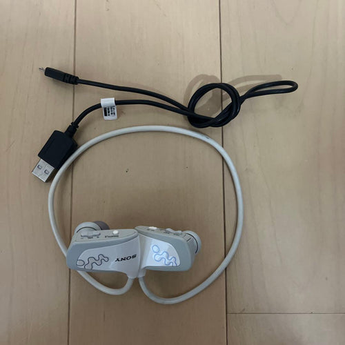 Sony Digital Audio Players W Nwd-W263/W