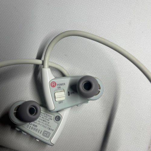 Sony Digital Audio Players W Nwd-W263/W