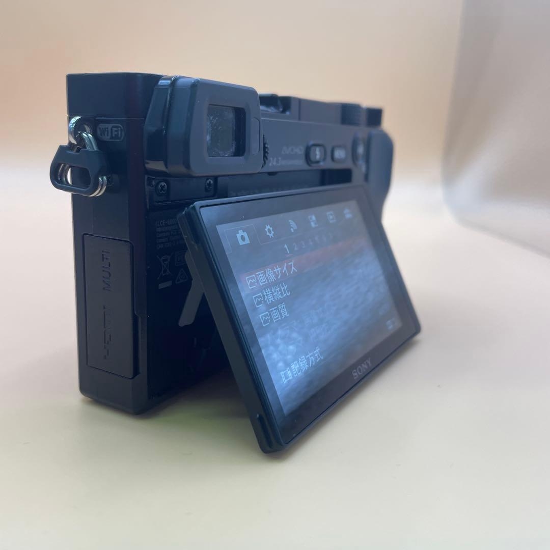 Sony Mirrorless Interchangeable Lens Cameras 6000 2350