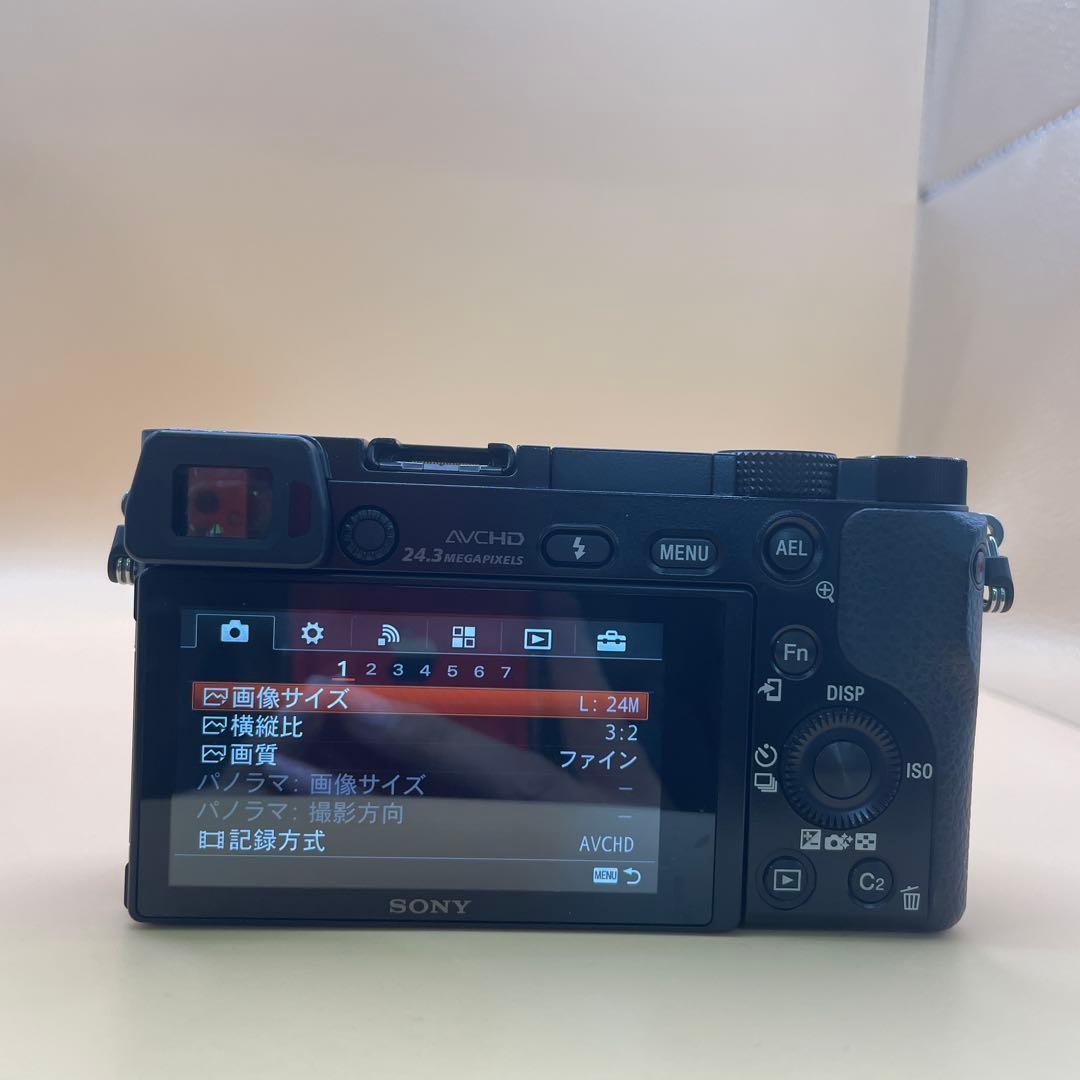 Sony Mirrorless Interchangeable Lens Cameras 6000 2350