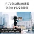 Sony Others Zv-E10