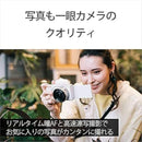 Sony Others Zv-E10