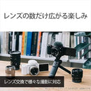 Sony Others Zv-E10