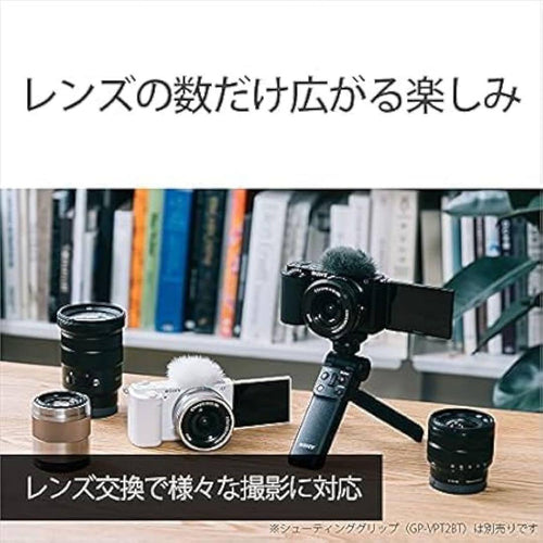 Sony Others Zv-E10