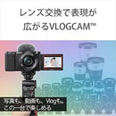 Sony Others Zv-E10