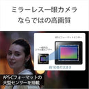 Sony Others Zv-E10