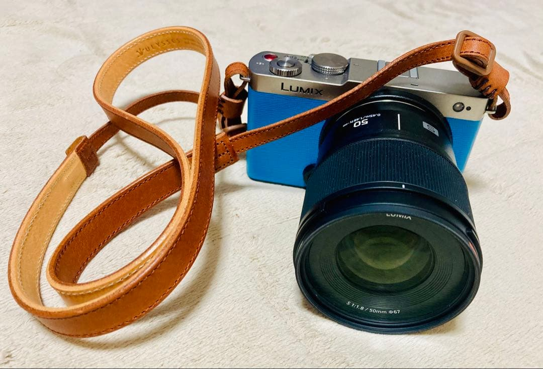 Panasonic Mirrorless Interchangeable Lips Lumix S9