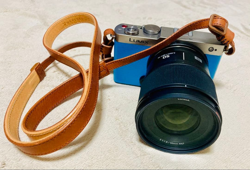 Panasonic Mirrorless Interchangeable Lips Lumix S9