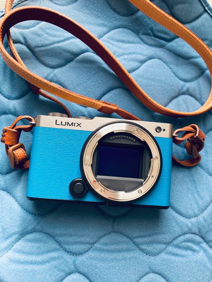 Panasonic Mirrorless Interchangeable Lips Lumix S9