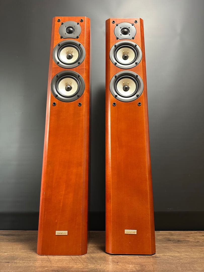 Onkyo Speakers D-207F