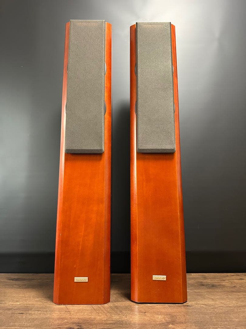 Onkyo Speakers D-207F