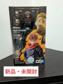 S.H.Figuarts Others