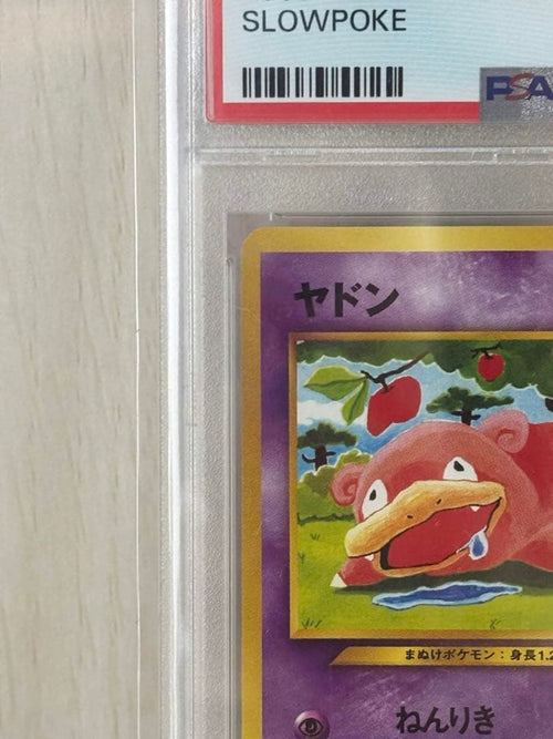 Pokemon Card Game Psa10 Neo