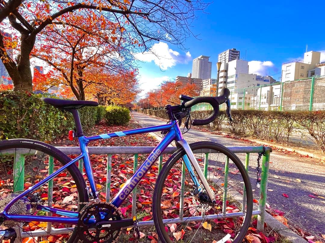 Cannondale Road Bikes Caad13 Tiagra 48 Purple Haze